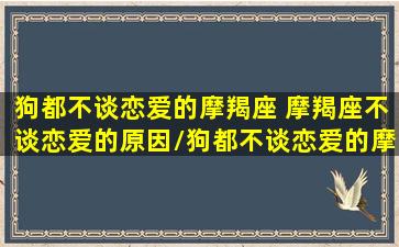 狗都不谈恋爱的摩羯座 摩羯座不谈恋爱的原因/狗都不谈恋爱的摩羯座 摩羯座不谈恋爱的原因-我的网站